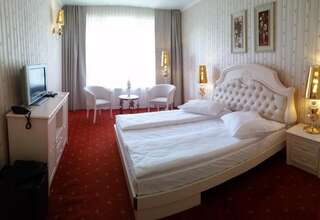 Отель Hotel Carpathia Синая Двухместный номер с 1 кроватью-7